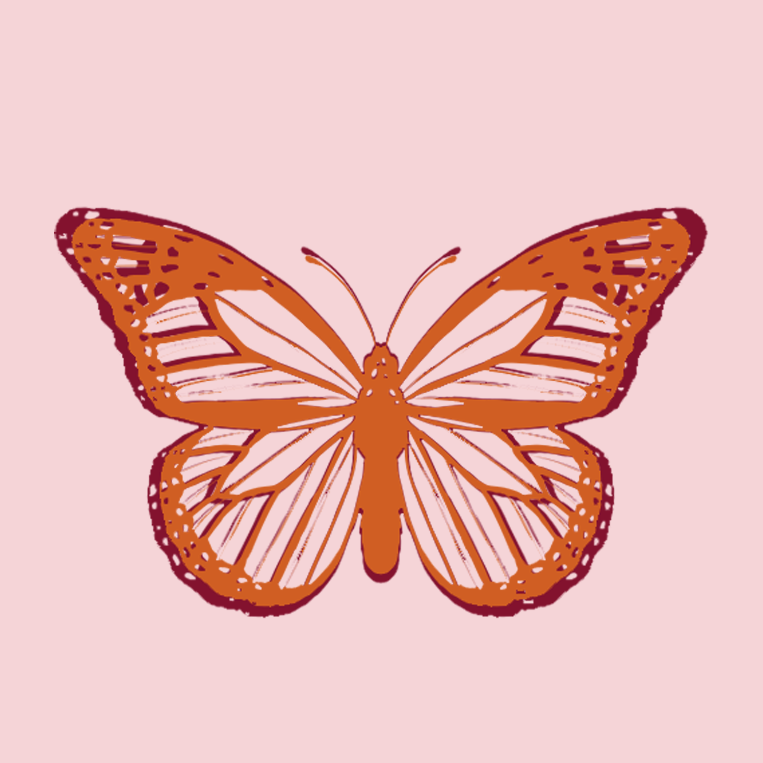 Bar Drink White Rabbit bar-drink-white-rabbit